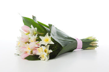 Daffodil and tulip flowers bunch lying down on white background