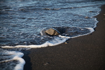 Stone bathed by waves on a beach in California