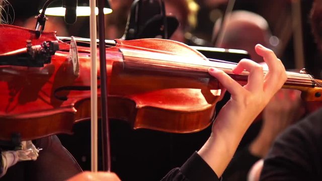Concert, a woman playing the violin, hand close up