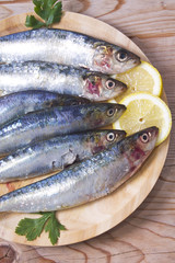 Fish, fresh sardines