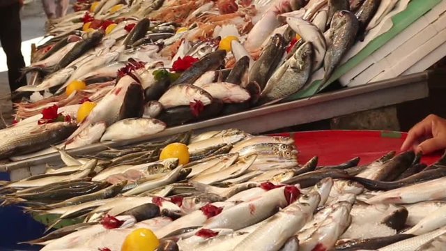 Customer buying fish from Turkish fish market stall filmed at 60fps and slowed in post