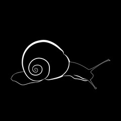 Abstract illustration, black and white silhouette of snail. Snail on slope.