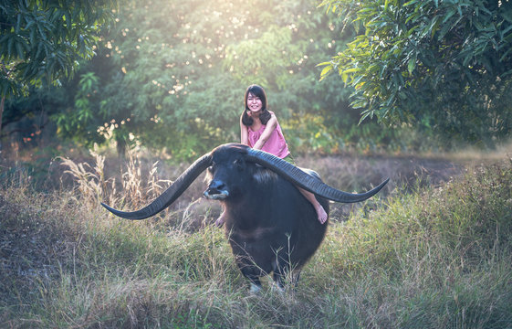 Happy Asian woman farmer with a buffalo in the field