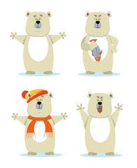 POLAR BEAR CHARACTERS