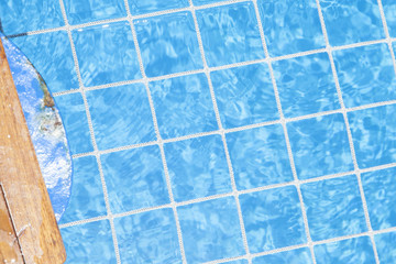 small pool of a cruise ship covered by a protective net