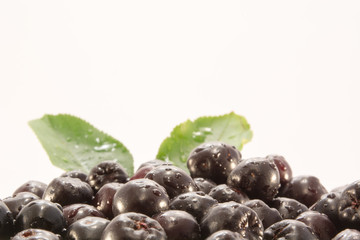 Wet aronia in white bowl