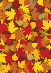 Autumn leaves background.
Beautiful autumn leaves background  with yellow and red leaves. Vector available.
