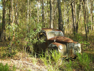 Rusty old car in forest
