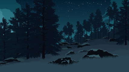 forest landscape illustration - 116766287