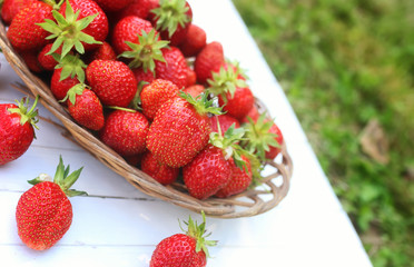 fresh strawberry outdoor