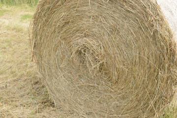 stubble field with hay bales