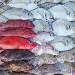 Fresh tropical fish on ice in the Kota Kinabalu market, Borneo, Malaysia..