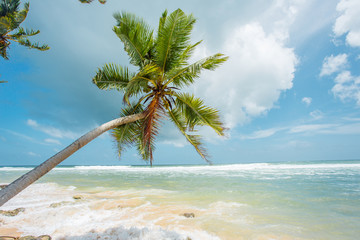 Untouched tropical beach of Sri Lanka