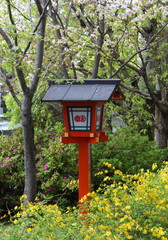 Red japanese lantern in a park
