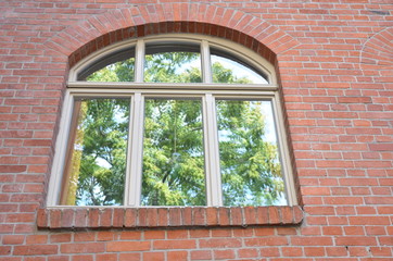 Window mirrored green tree red brick wall