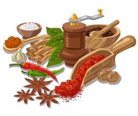  seasonings with condiment and spices