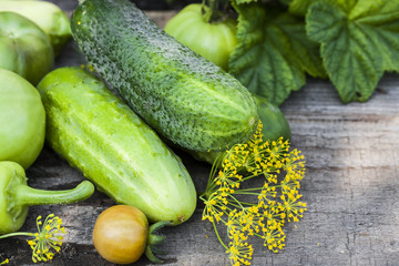 Harvest cucumbers on the wooden background