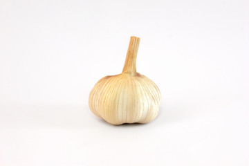 single whole garlic isolated on a white background