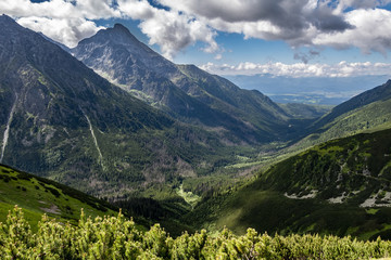 Summer Koprova valley and Slovak national mountain called Krivan