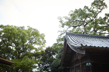 神社