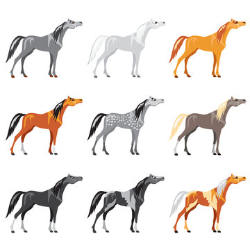 Set_of_horses