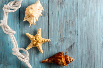 Starfish and seashell on blue boards