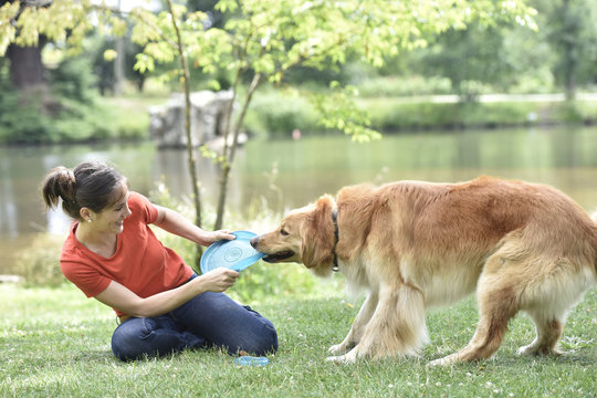 Woman And Dog Playing With Frisbee A The Park