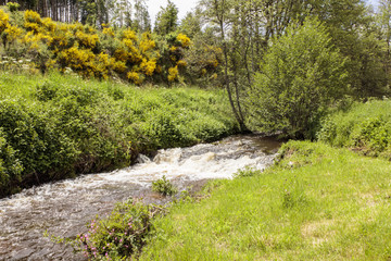 La Dorette river in Dore-l'Église