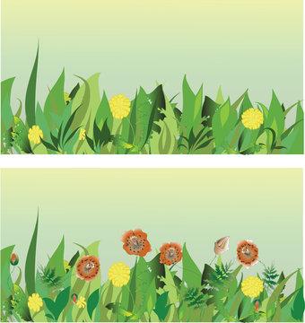 Meadow. Vector image. Background of herbs.