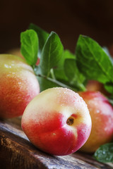 Small nectarines on the table, vintage wooden background, select