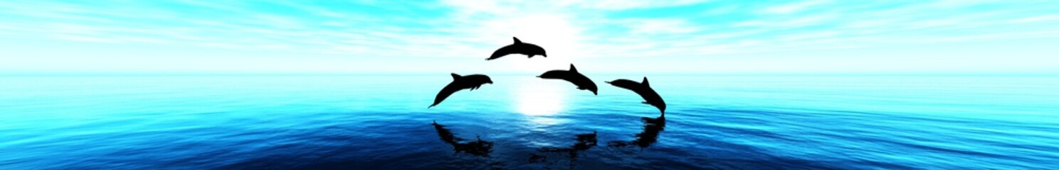 Obraz premium Morze i delfiny. zachód słońca nad morzem. panorama.