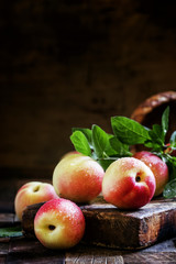 Small nectarines on the table, vintage wooden background, select
