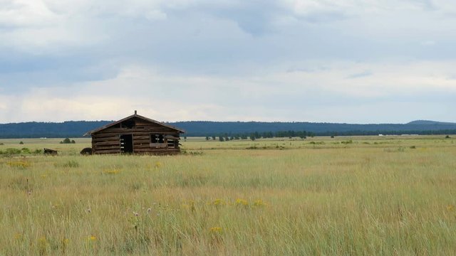 Old log cabin on the open prairie
