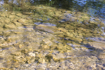 
Solar river shoal water and rocks on the bottom with the reflection 