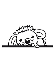 verstecken klettern wand mauer rahmen text schrift schreiben umrandung strich winken baby kugel süßer kleiner niedlicher igel 