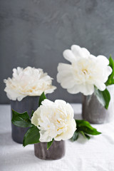 White peonies in gray handmade cups