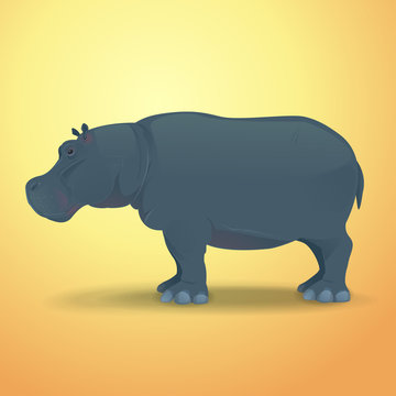 Hippo vector illustration