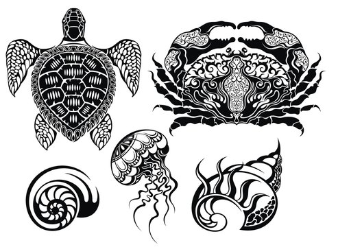 Crustacean Vector illustrations.Sea life
