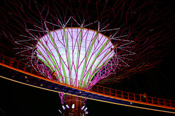 Fototapeta premium A Supertree and connecting bridge, high above the ground, illuminated at night.