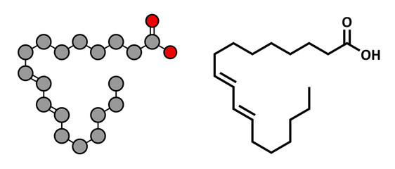 Rumenic acid (bovinic acid, conjugated linoleic acid, CLA) fatty acid.