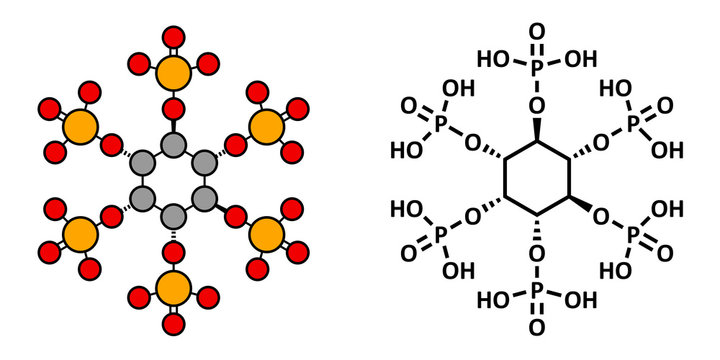 Phytic acid (hexakisphosphate, IP6, phytate) molecule. 