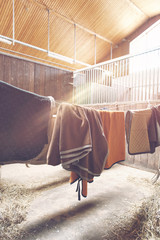 Horse blankets hanging out to dry