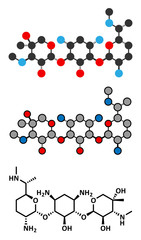 Gentamicin antibiotic drug (aminoglycoside class) molecule.