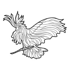 Vector monochrome hand drawn illustration of parrot.