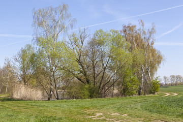 Unterwegs zwischen Vogelschutzgebiet NSG Garstadt und der Mainebne bei Hirschfeld und Heidenfeld im Landkreis Schweinfurt, Unterfranken, Bayern, Deutschland