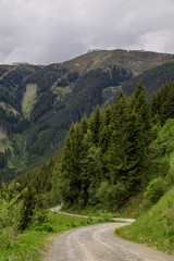 Fototapeta na wymiar Wandern und Radfahren in den Bergen- Schotterweg