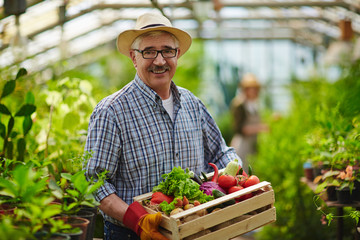 Farmer in green-house