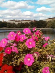 Городской пейзаж и цветы у реки вдоль набережной