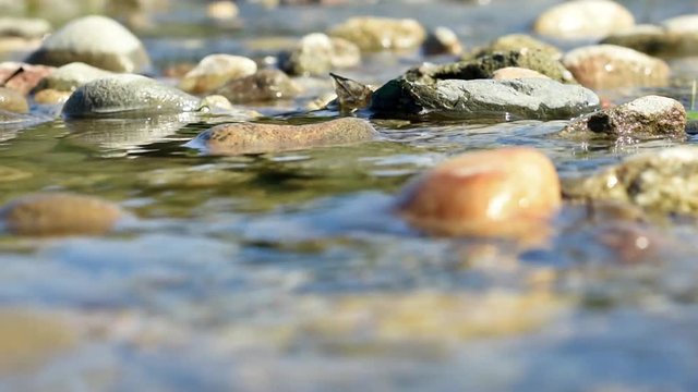 Small river flowing between stones
