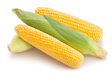corn